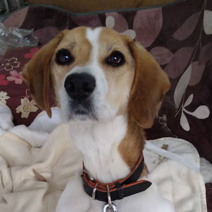 58fe853a 3d26 4f2d a93a c3661ce4bda0 1642768903759