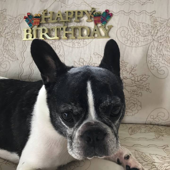 58fe9134 648f 4a20 8e64 71f90872481c 1560040972044