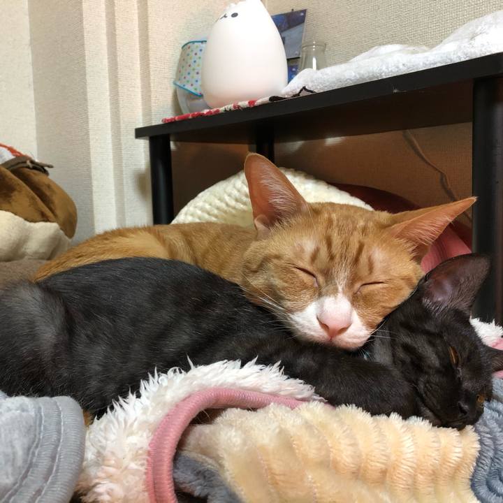 58feb0a8 a54d 4a6f b19e ad5322df59f1 1610024710489