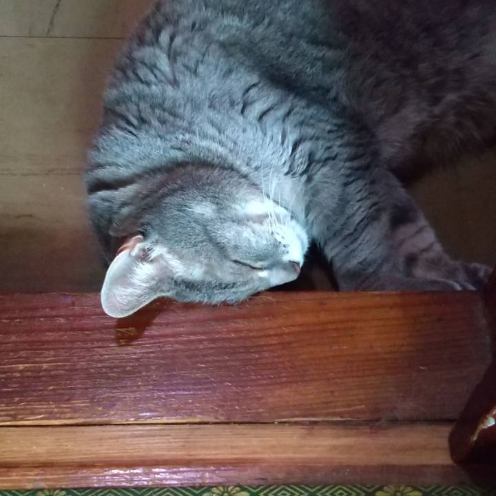 58feb361 75a5 4a37 bd69 65beffa3b98d 1656293607749