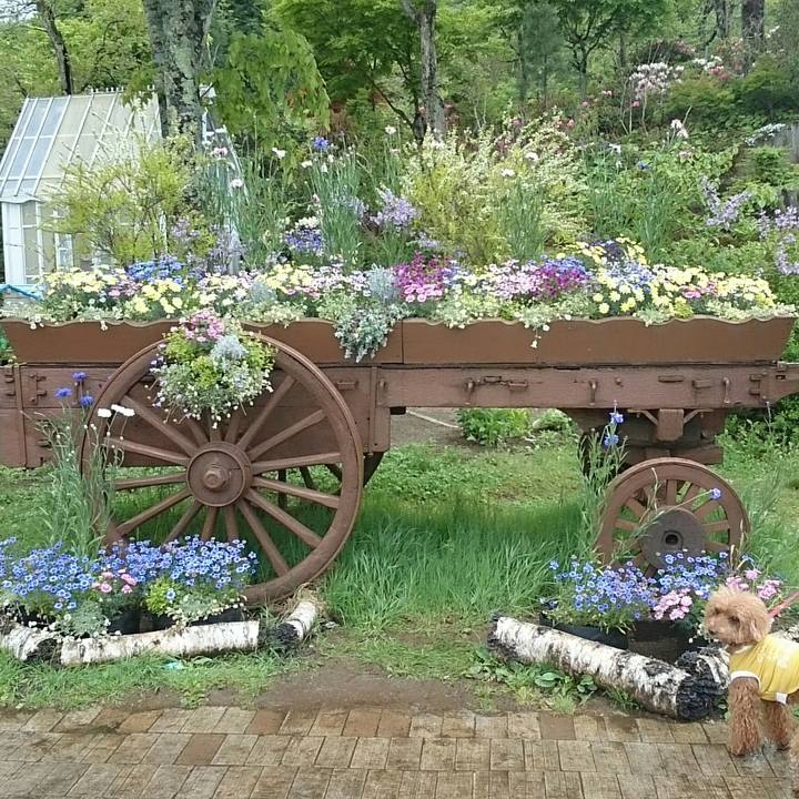 58feeacf b93c 47b7 b6f7 9a115bf7d3d3 1525562431345