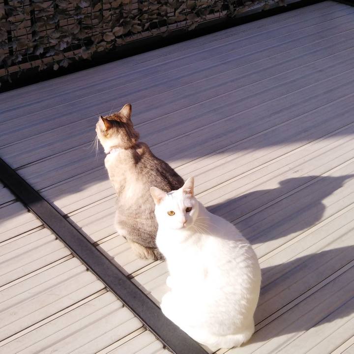 58ff183e 34a6 451d a958 363e44dd8c5f 1616719089037