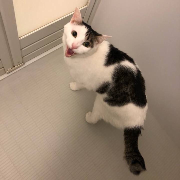 58ff46e1 be7c 41b1 b9c9 d25e1121df97 1559372709651