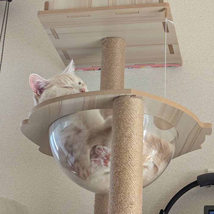 58ff5062 59fc 40f2 8537 d54c055ab59a 1740635011317