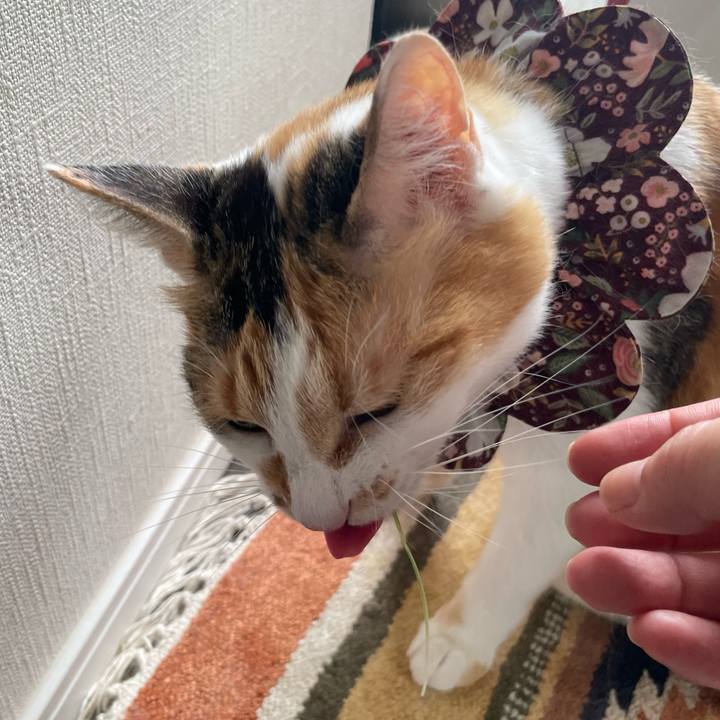 58ff720e 51af 4093 bc68 f0c394bbe4c7 1750808288134