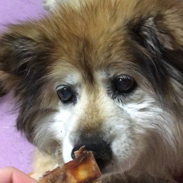 58ff9c13 e5c6 4913 a535 f01cc85fe245 1616471392760