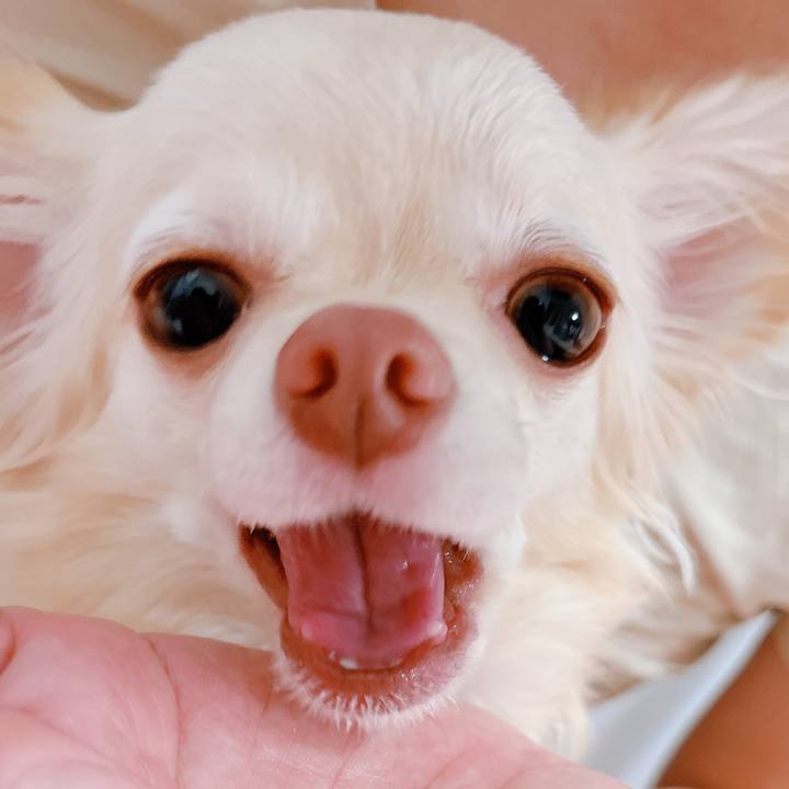 58ffbb72 4864 4ddb a2d0 4499fa97a21a 1663490682649