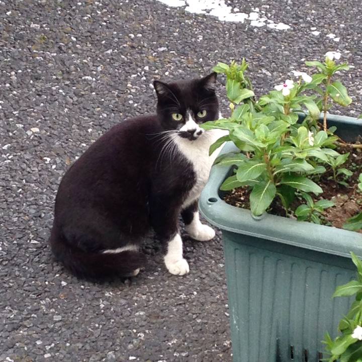 58ffbeaf b597 4131 8330 e806f612a50f 1511166992692