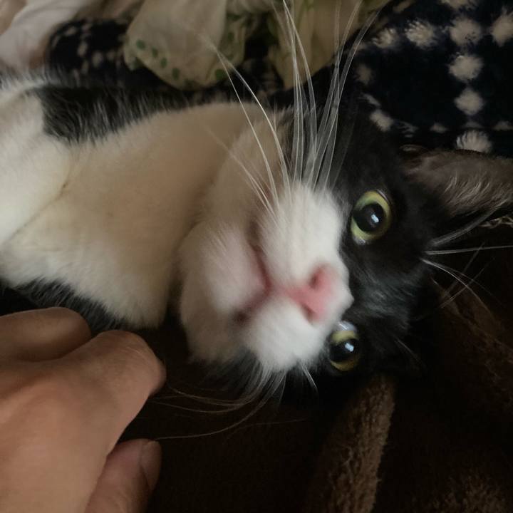 58ffea84 f847 423a 88cf 32f019a414d2 1625296660840