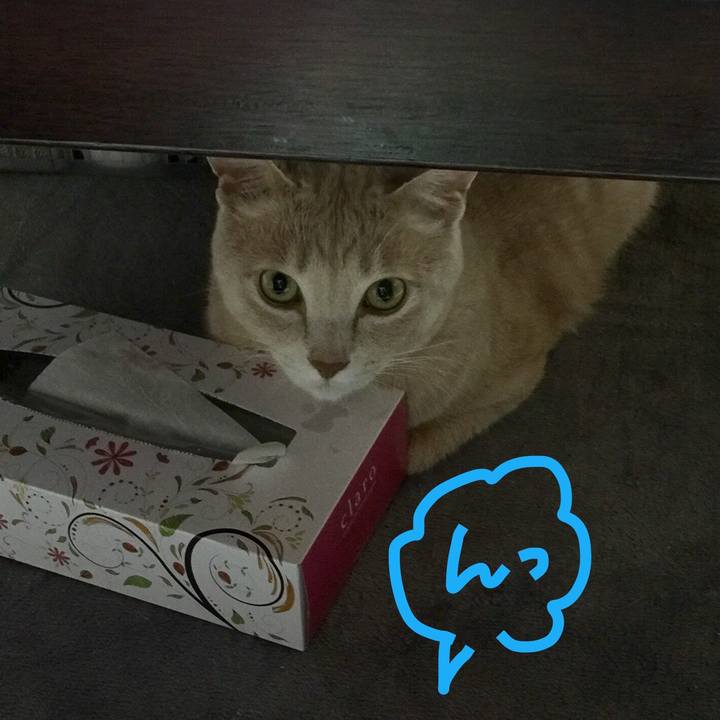 59001c2a 4911 42eb aa98 964f4f90d967 1529495907139