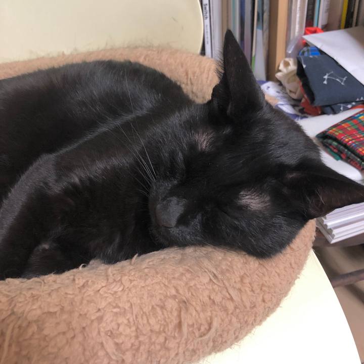 590039ef 6f5c 4f4e b7b3 f74ac288a3f6 1597628049951