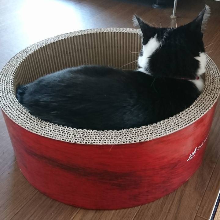 59007eb4 1778 4e44 915e 797f5575e16f 1588495638331