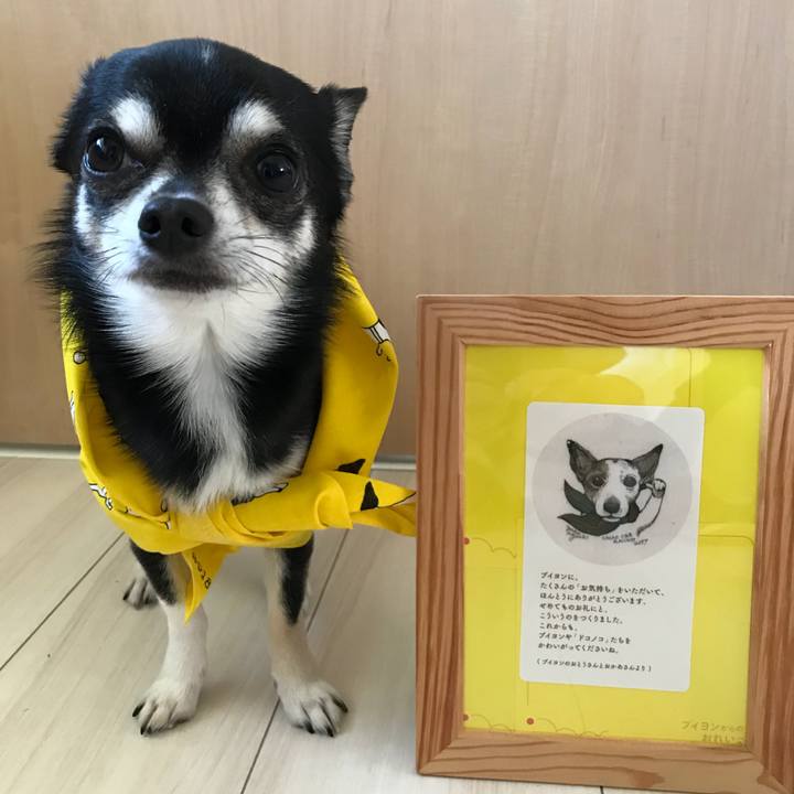 59007f8d 1463 43c9 a4bc 0ce140164e1b 1524276472529