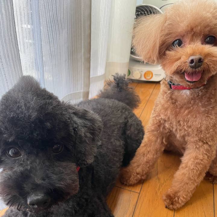 590092cc fd43 4dbd 95a3 8425e0134ea9 1700473385048