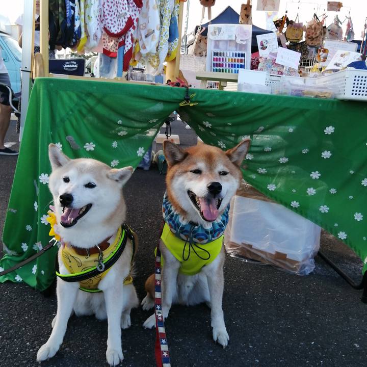 5900a21a 6717 409c ae3a 62ab7815d197 1690711034583