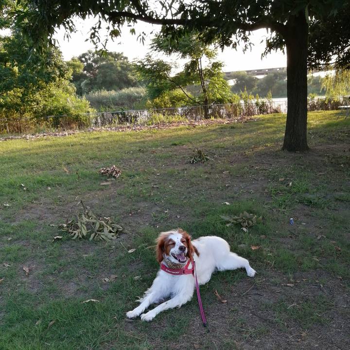 5900a3f3 f575 4bd7 8989 bc92aa8ef98b 1598268312933