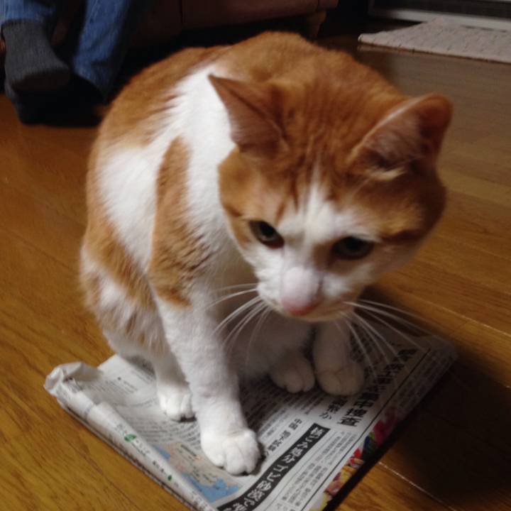 5900b7fc 56b2 4263 9405 176b2a6b5784 1514733355134