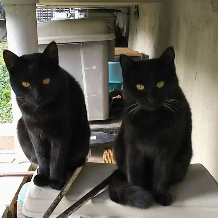 5901178a 95cf 496b 8281 f1e1e363948b 1545798768801