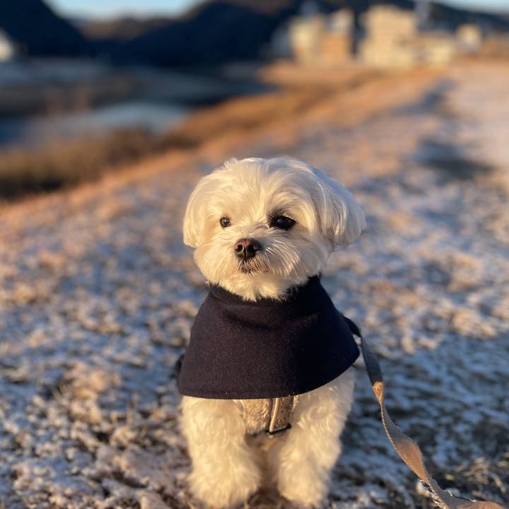 590127f0 4a06 488c abcc ee450d113a2b 1769037459405