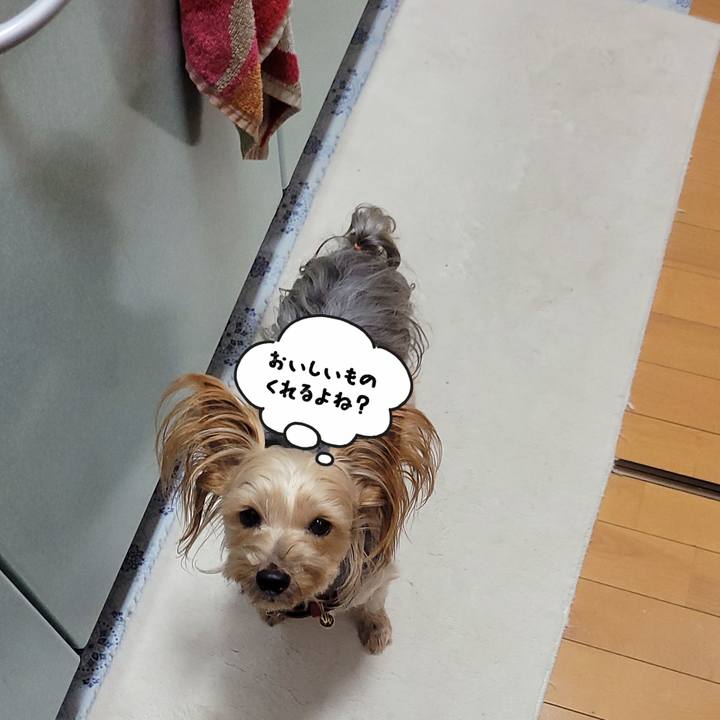 590131a3 ba2c 4cee 8ea8 5e217b12d146 1644317888253