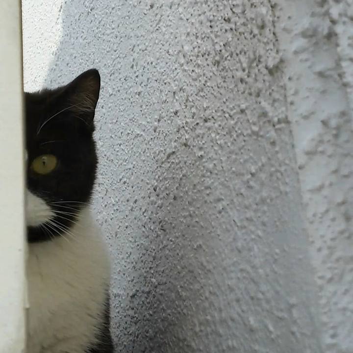 590152f5 c3a5 4ba9 832e 9af2ee80d5af 1553068352344