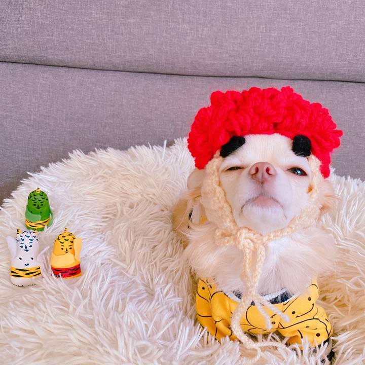 59015b6b 019e 4e79 be25 23362b996bb0 1643869579734