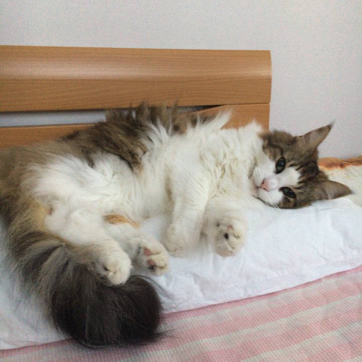 5901ad49 aa4a 4476 8e2f 0d32e3c8234a 1595674438142