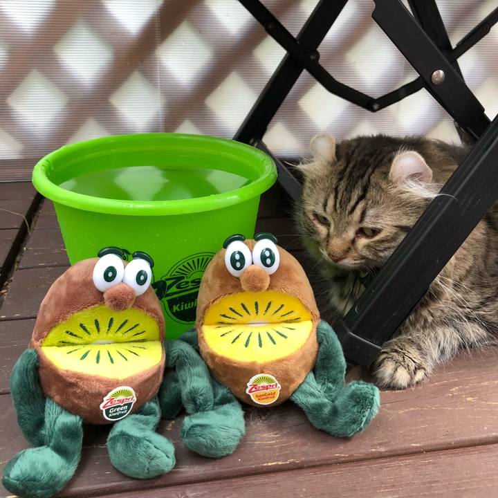 5901ce3b 4d16 4e2e a186 b6de62c0ee01 1534920796785