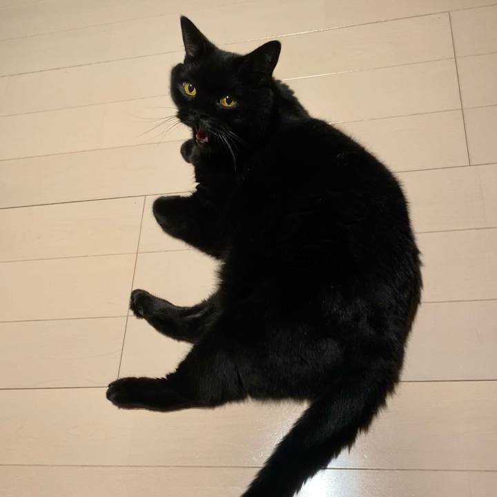 5901dad6 8b0b 4644 862d 1226fab0c729 1754744728601