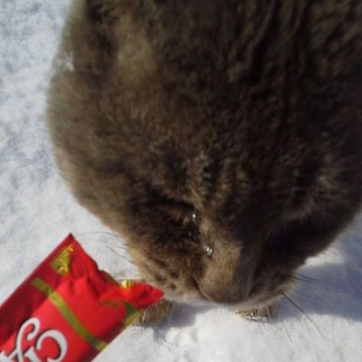 5901dc09 f663 4210 b78c 24f62d02d959 1550454265306