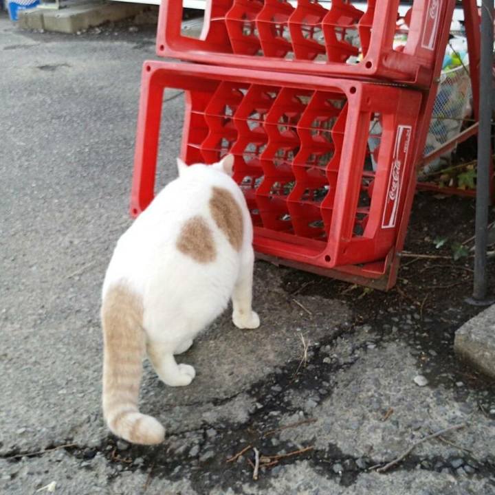 5901f70f ca01 47fa a5d7 2f7403d383c6 1514253978274