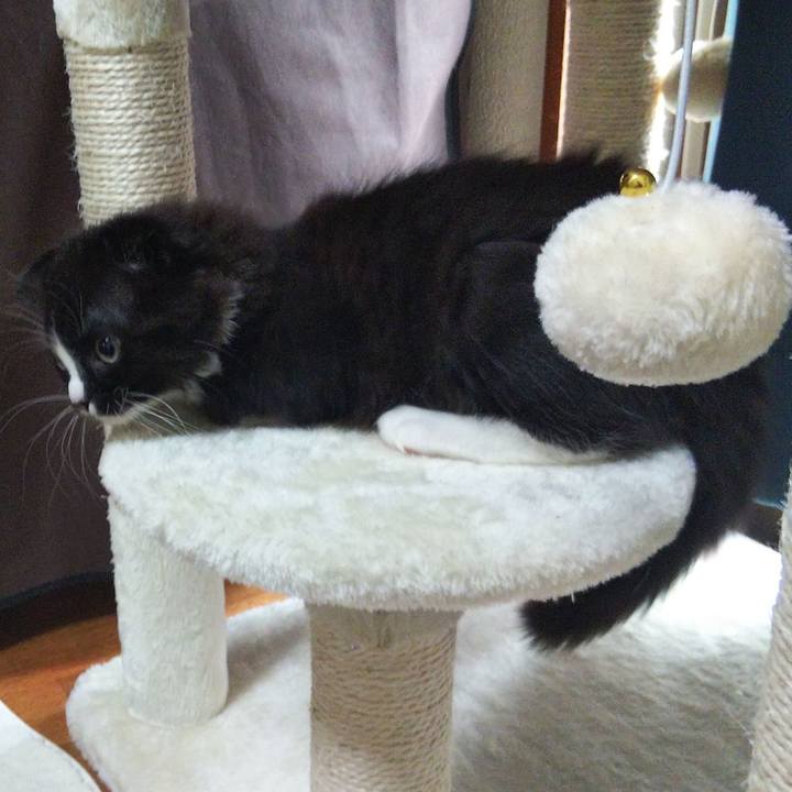 5902119f 1e6c 4479 a4d9 ef42a789771a 1639267868781