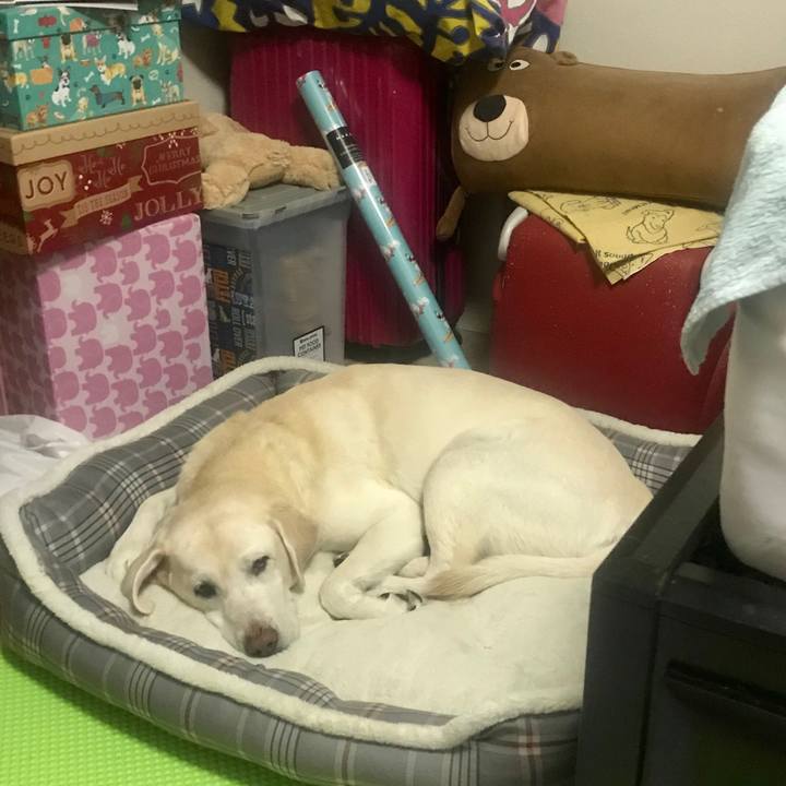 59023403 0149 4b1e 8464 5b884a31a466 1543827720595