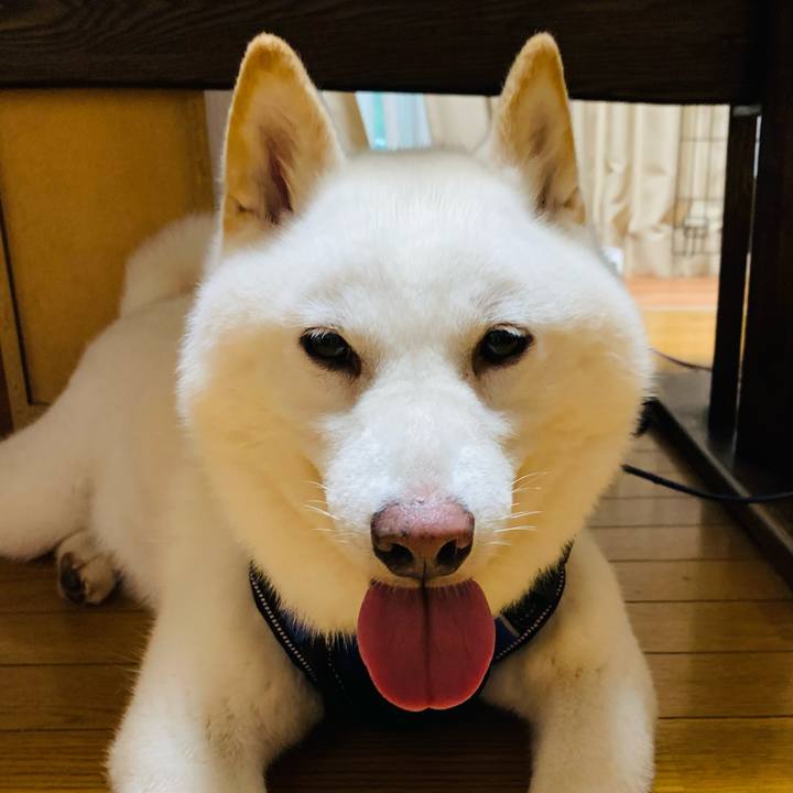 59028f0d 4c50 4cbb a905 afb8fea59f21 1660078064714