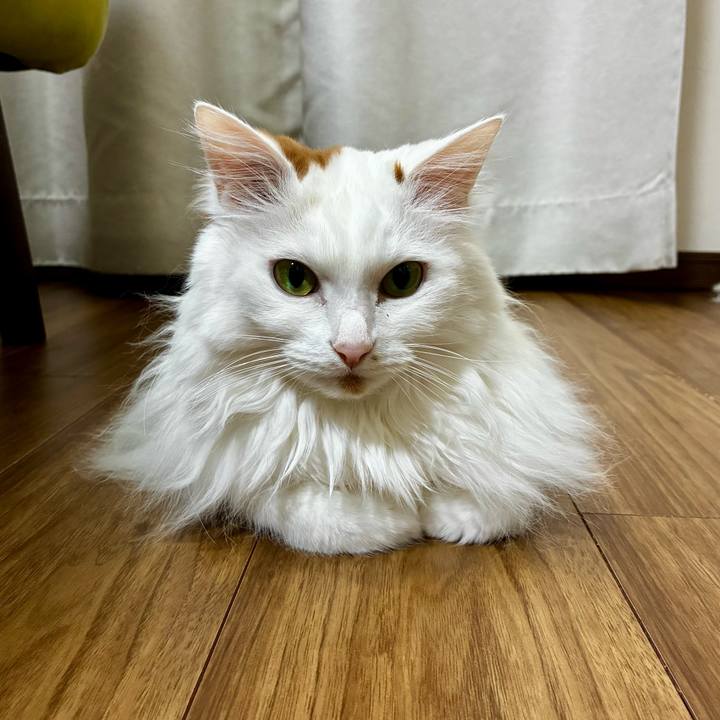 59029bd1 cfbf 4dd2 92d9 2f50bee143a8 1772077533530