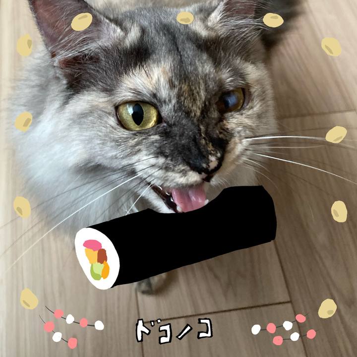 590303b6 4562 4ee3 b16f ee089de8e28f 1741088741012