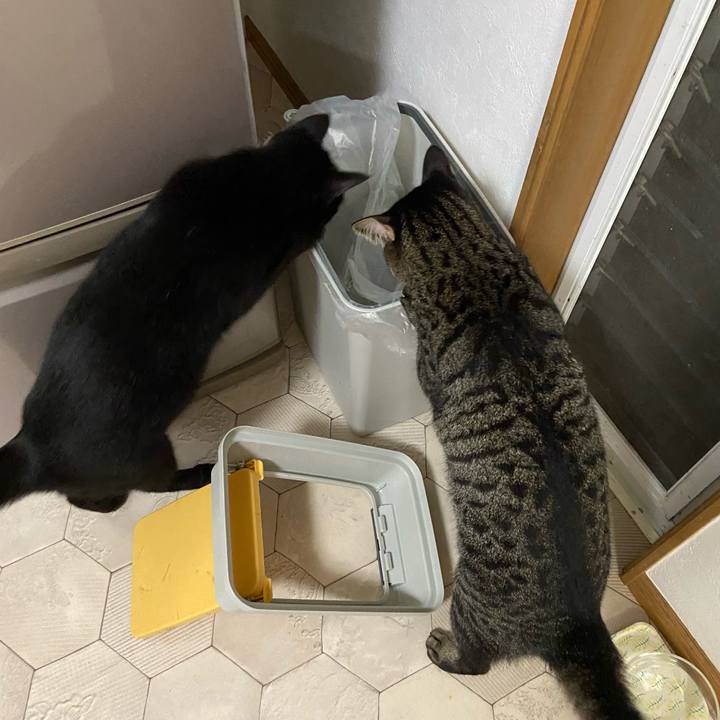 59031e4a 785d 4eab a813 2b7e98bec2e0 1632222041899