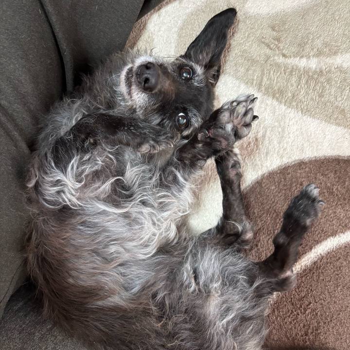 59033830 ddf6 444f 9364 56ed4a88b4c2 1765411616098