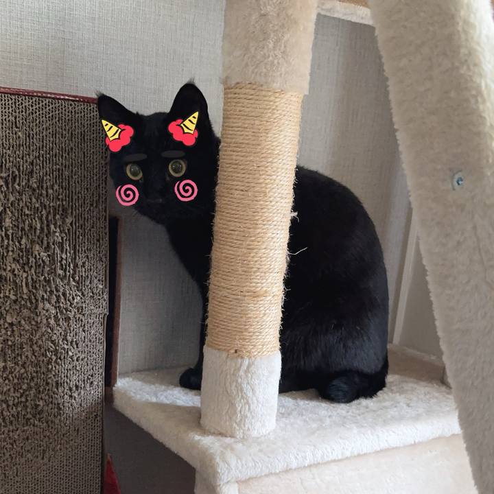 590356e4 35d2 4fd6 bebe e8d6ce97a4e9 1738540992406