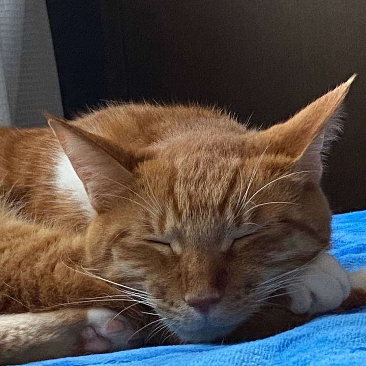 59038ab6 4e87 403c ac4d b938837b24c1 1599884909584