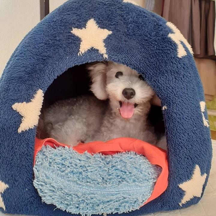 59038c19 380d 400c 8ff7 5edff0e88817 1755510266703