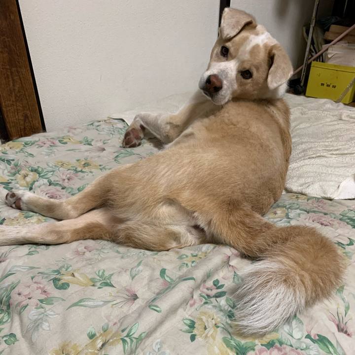 59038efc 01f3 4689 ae0e b02eae9967df 1574076312648