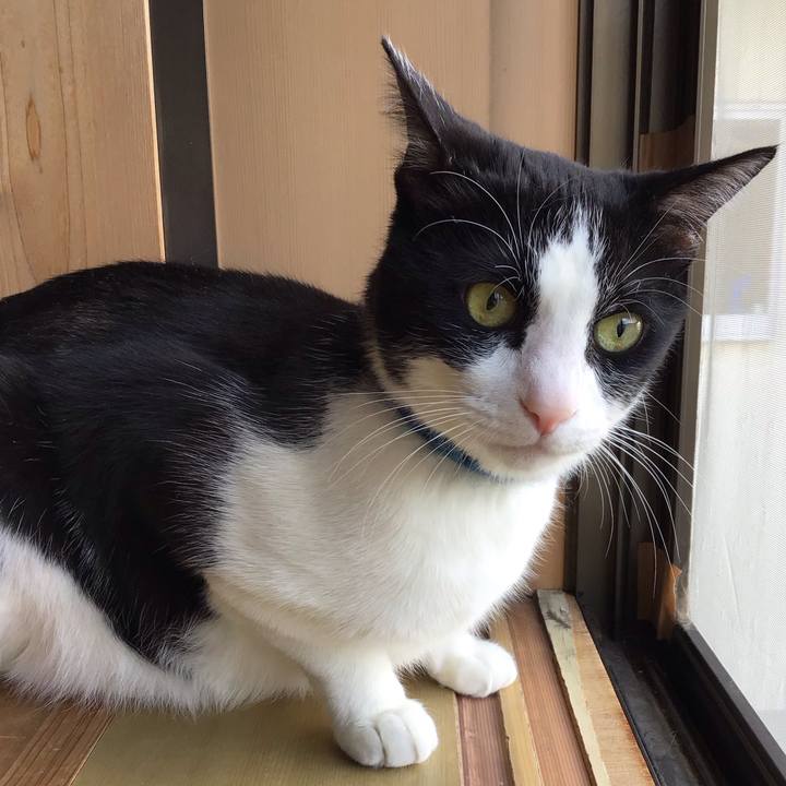 590398e7 fc32 4737 b406 97fe3730ca60 1745483731466