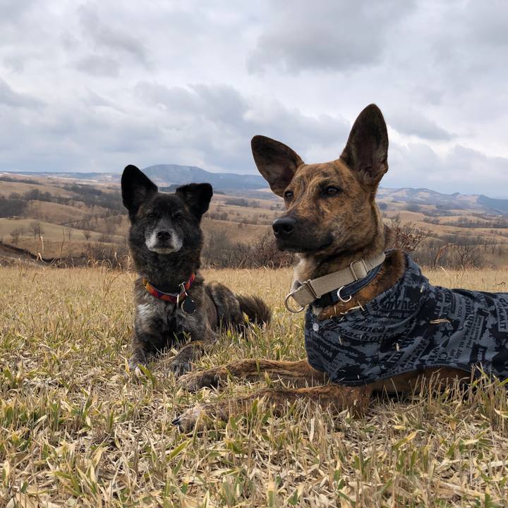 59039caa 19d8 4206 ae15 736ab20b2c38 1581413409952