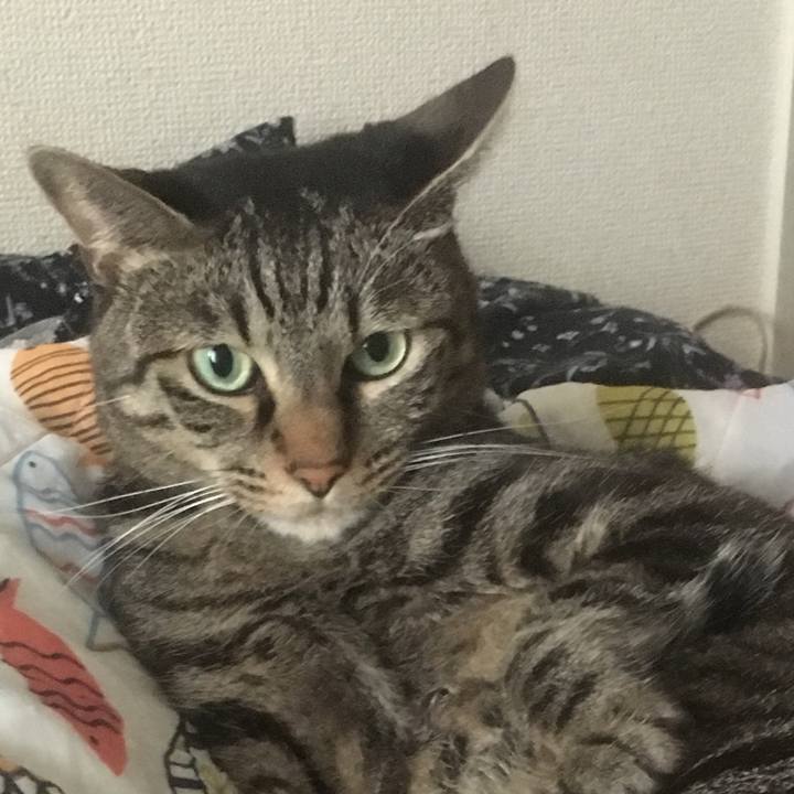 5903b8f9 93b8 4521 bc9d cddce5baa585 1571028189325