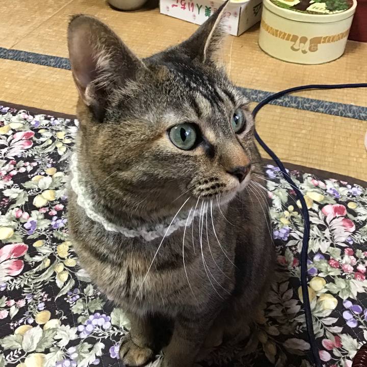 5903c6dd 5b03 4b7b 9b9f 735cb8cee4f5 1647943658583