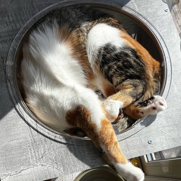 5904028d f00b 49cd b647 41e7f5c4e2d3 1714344077964