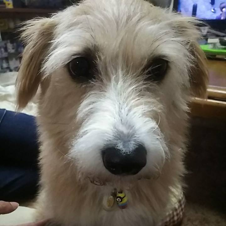 590405e8 5022 4594 a1b2 041badc328b4 1509149186256