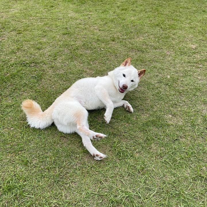 59040b9c 254c 402c a8e6 2c15ca533400 1653054398323