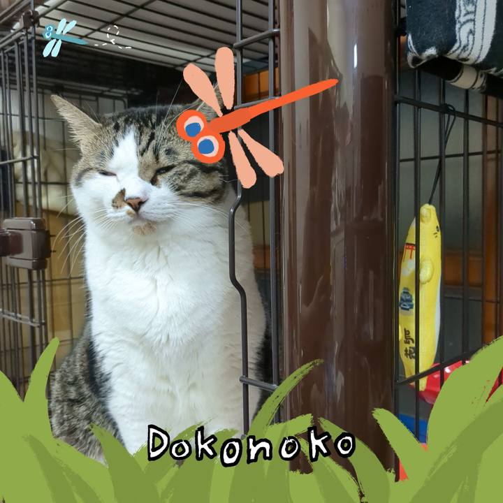 590462a8 129e 44ce a286 3079b7a13082 1726872989978